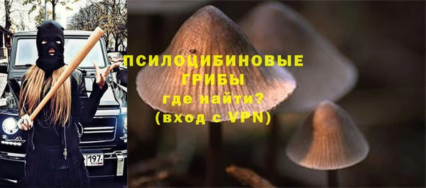 гидра Армянск