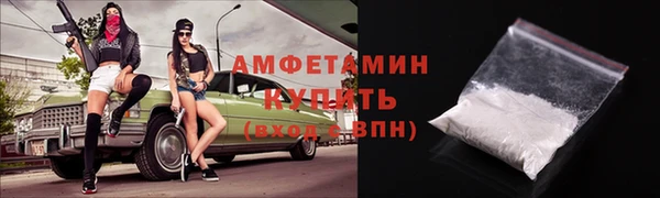 твердый Дмитровск