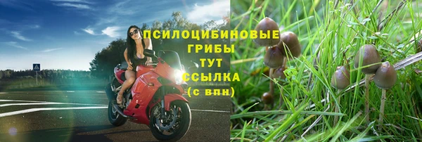 спиды Аркадак