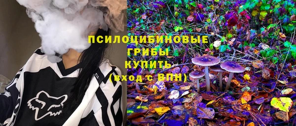 спиды Аркадак