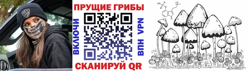Псилоцибиновые грибы Psilocybine cubensis  закладки  OMG сайт  Таштагол 