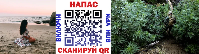 Каннабис план  Таштагол 